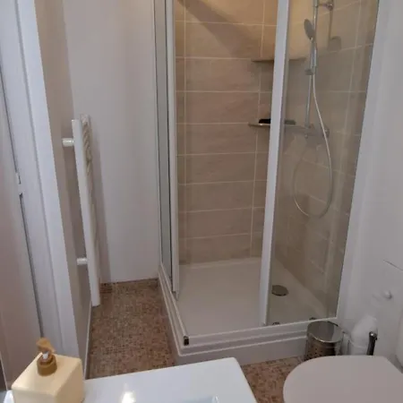 Le P'tit Gustave Hyper Centre Apartamento *