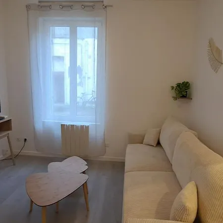 Le Petit Nid Cocon Cosy Au Coeur Du Havre Appartement